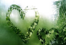 中超历届冠军都有哪些？这份一览表带你全面了解